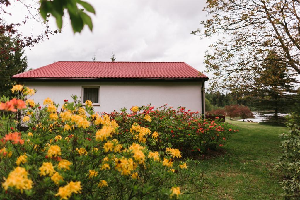 Bed and Breakfast Bobrowa Dolina Ryn  Exterior foto